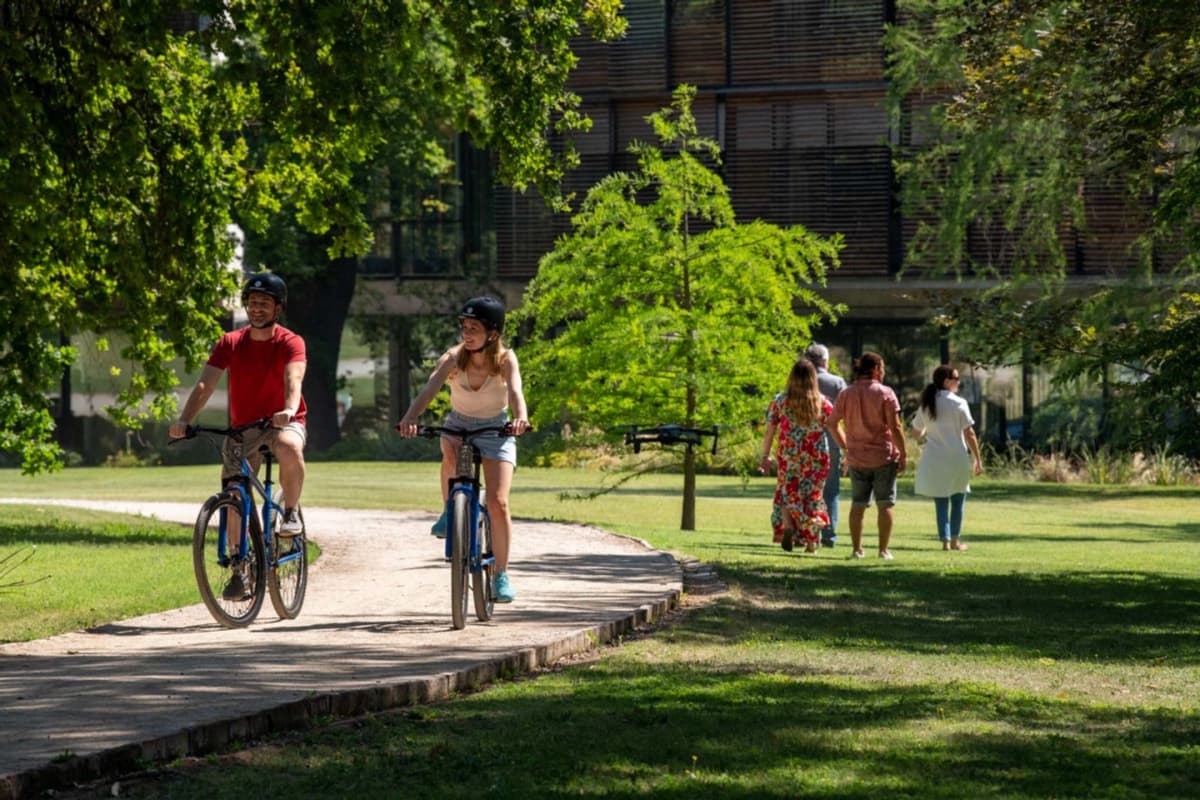 Escapada Hotel Las Majadas: Descanso, Sabores y Tradición