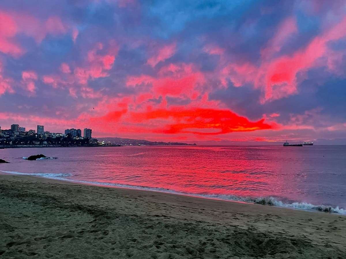 Tour Costero: Viña del Mar, Reñaca y Concón en un Recorrido Inolvidable