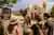 Wine Walking Tour en Cafayate: Museo y Bodegas