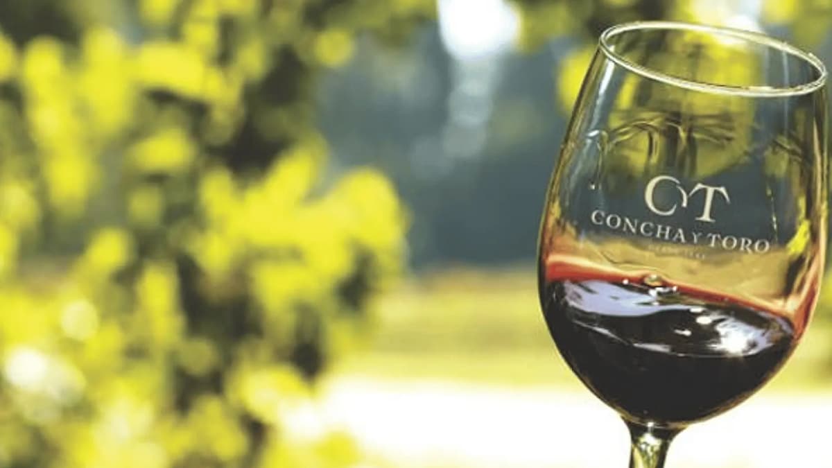 Visita Guiada Standard a Viña Concha y Toro + Tasting Marques desde Santiago