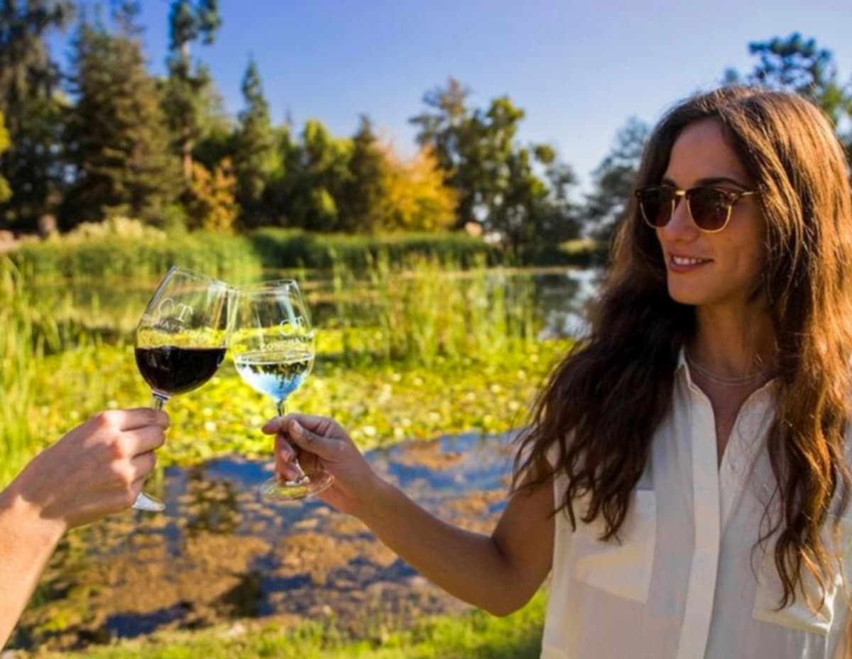 Desde Santiago: Experiencia Marques de Casa Concha en Viña Concha y Toro