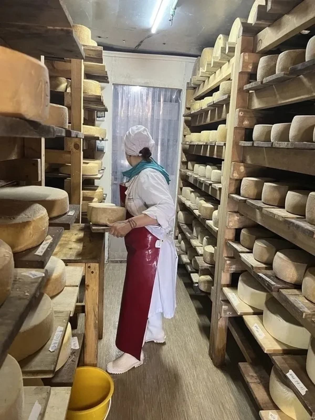 Experiencia Rural en Las Vertientes con Desayuno