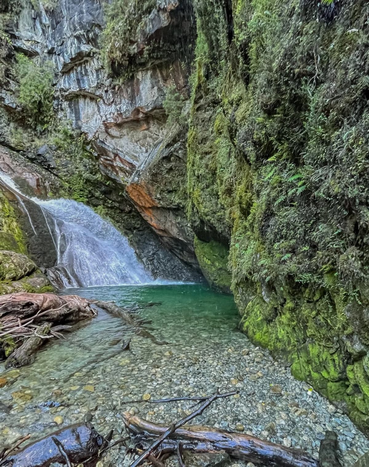 Sendero Verde en Aysén: Un Viaje entre Bosques y Cascadas