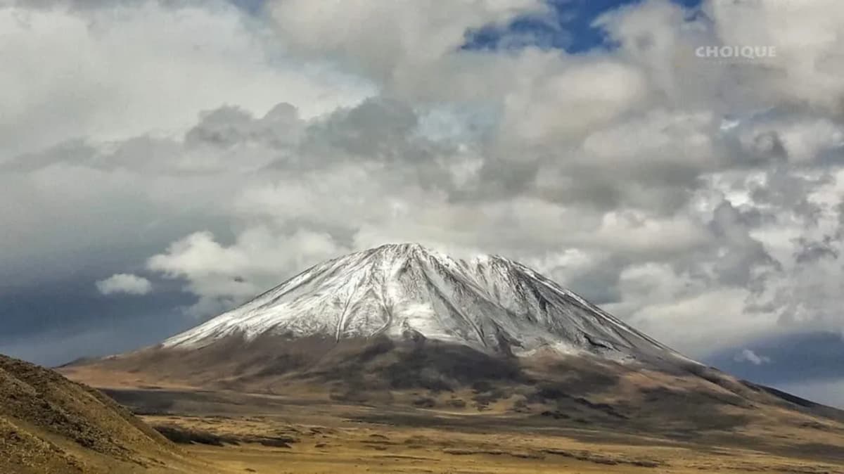 Excursión a la Reserva Natural La Payunia