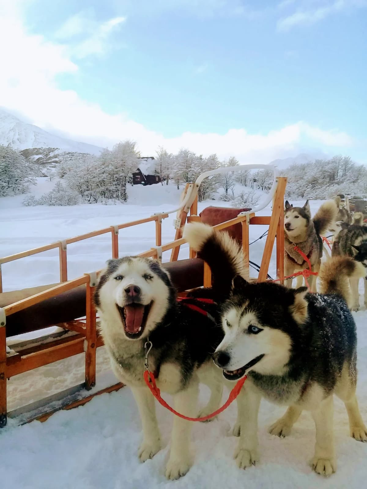 Total Adventure: Snowmobiles, Sleds, and Snowshoes