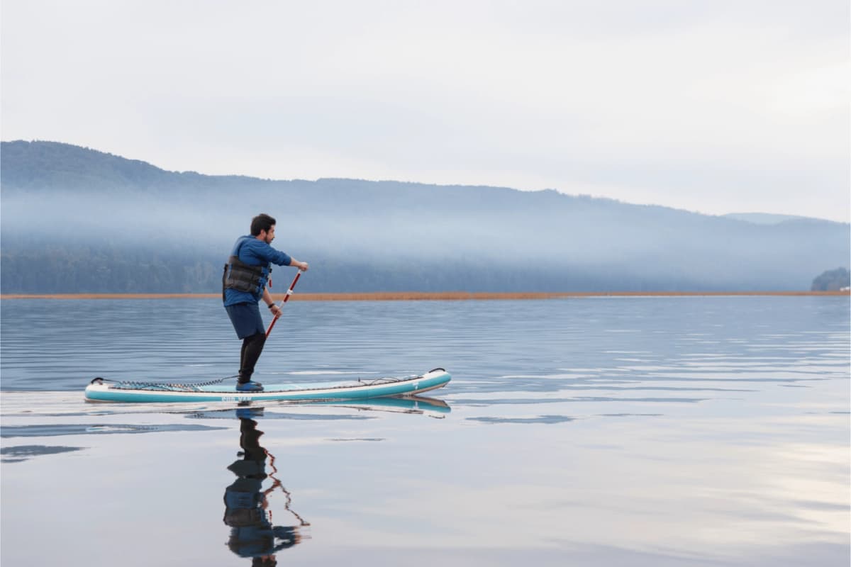 Navega en el Santuario del Río Cruces, Valdivia: SUP o Kayak