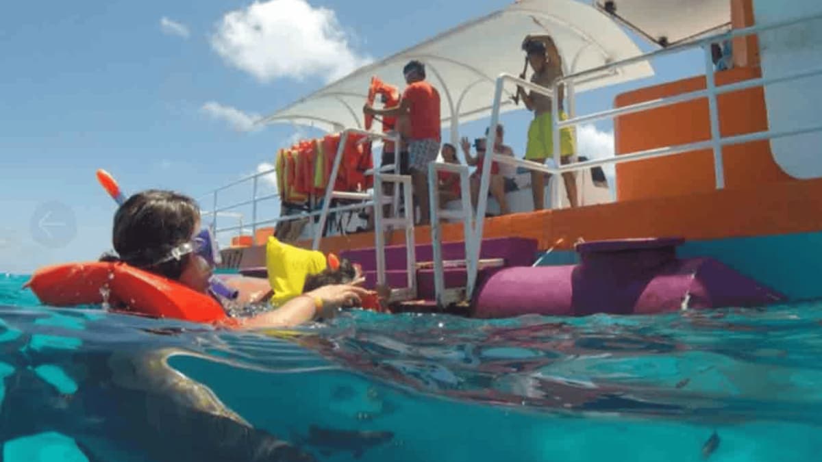 Tour Semi Submarino en Spratt Bight y Mar de los 7 Colores