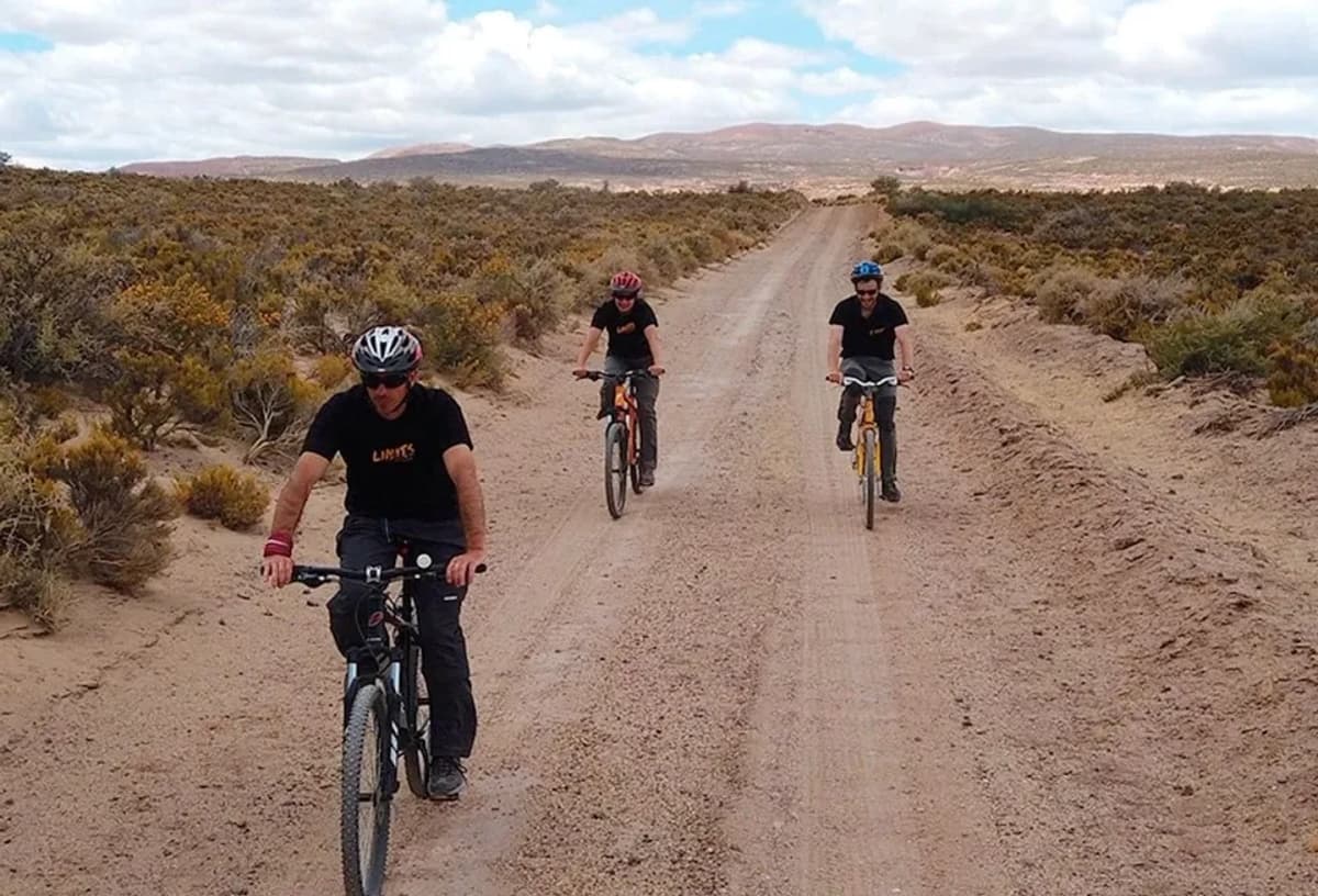 Alquiler de bicicleta mountain bike por día completo en Esquel