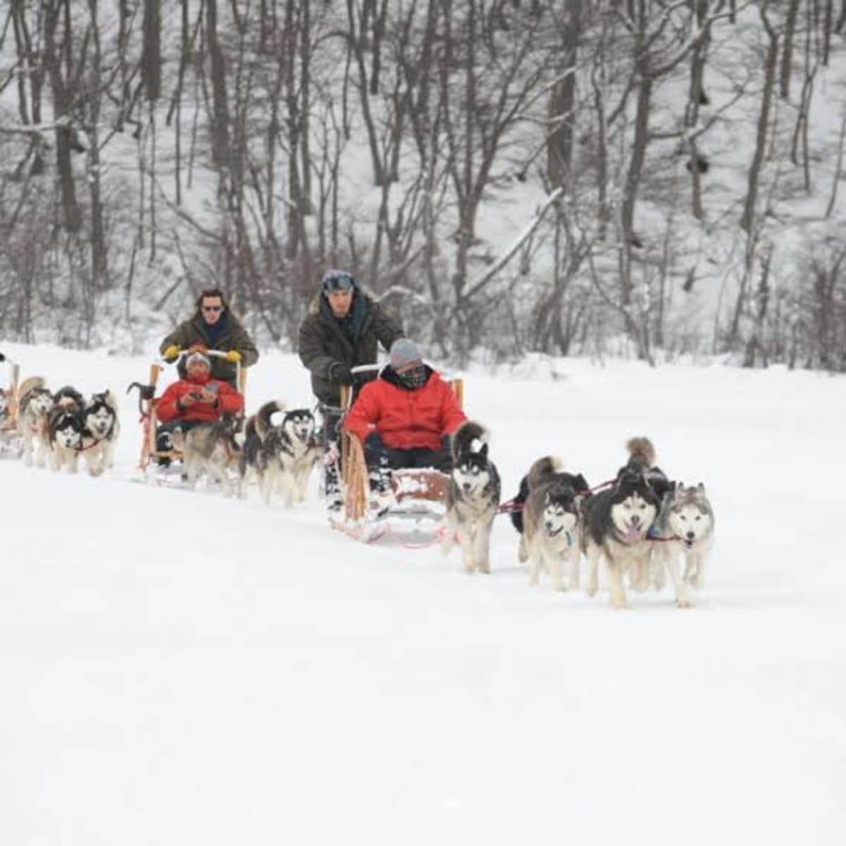 Trineos perros Husky, Raquetas de Nieve y Cena con Fogón en Nunatak en Ushuaia
