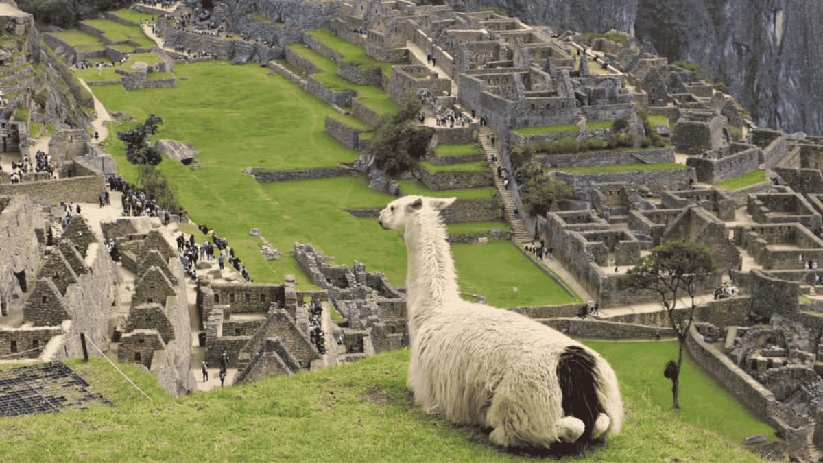 Machu Picchu sin entrada con transporte y guía desde Cusco