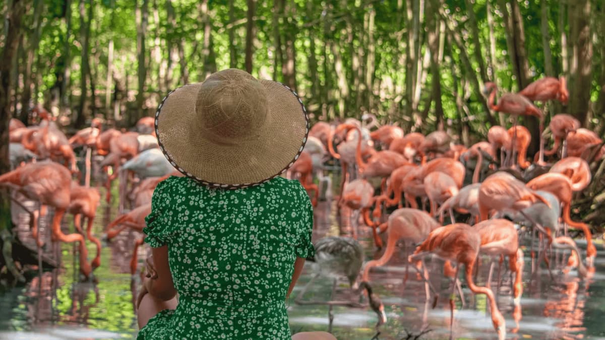 Tour al Aviario Nacional de Colombia y Playa Blanca desde Cartagena