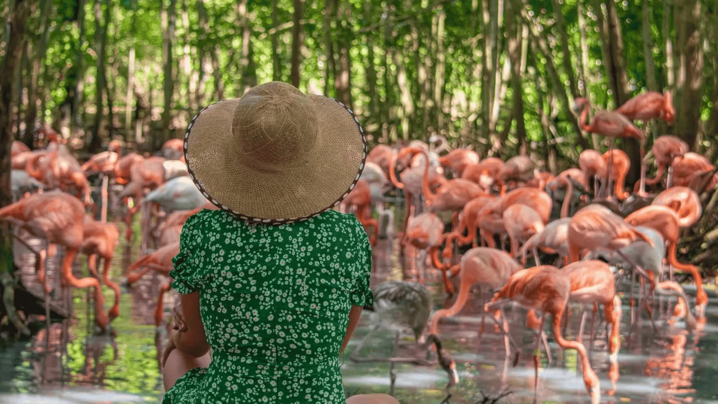 Tour al Aviario Nacional de Colombia y Playa Blanca desde Cartagena con almuerzo