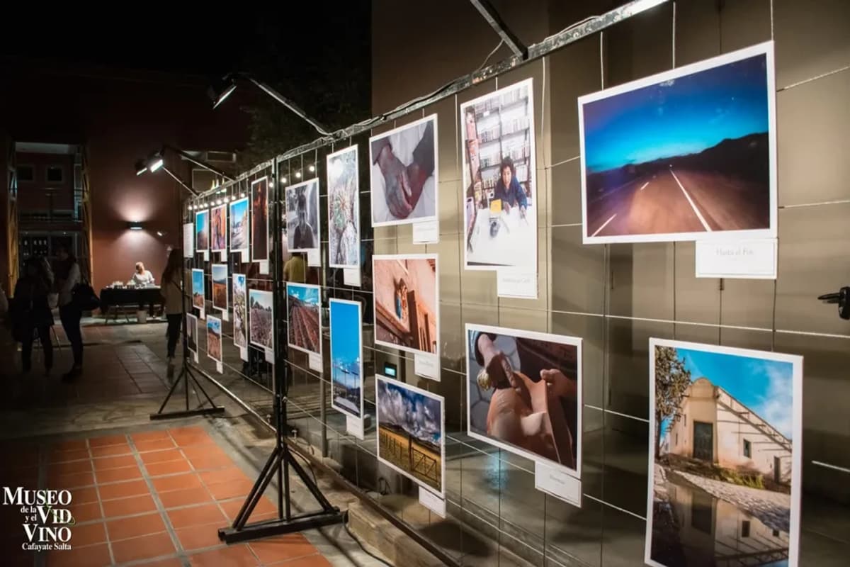 Ruta del Vino de Altura: Cafayate y Museo del Vino