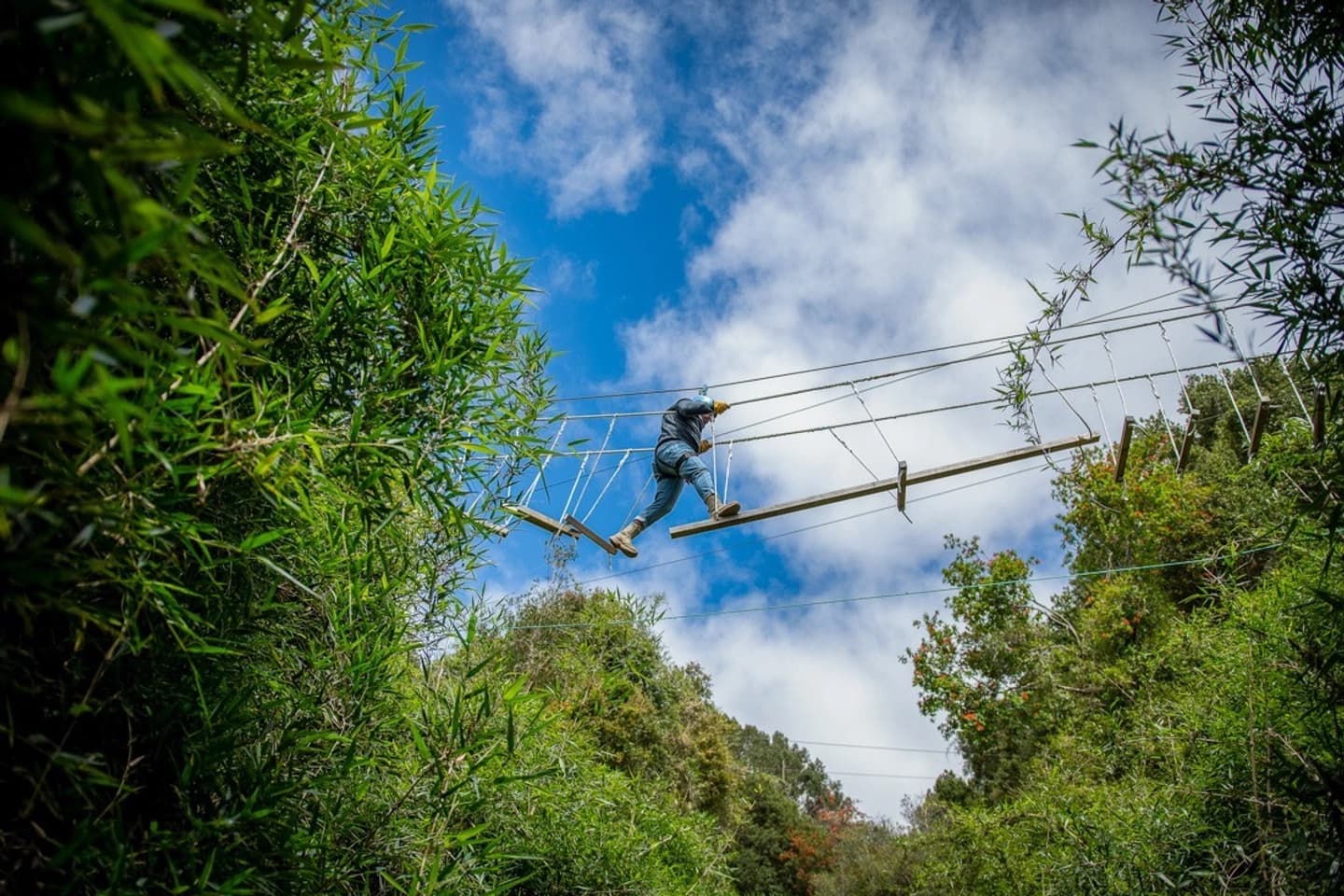 Circuito de Canopy y Arborismo en Parque Lechagua