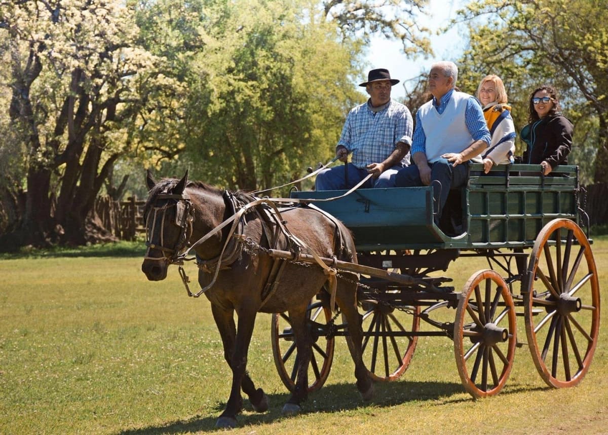 Excursión a Fiesta Gaucha en Estancia Santa Susana