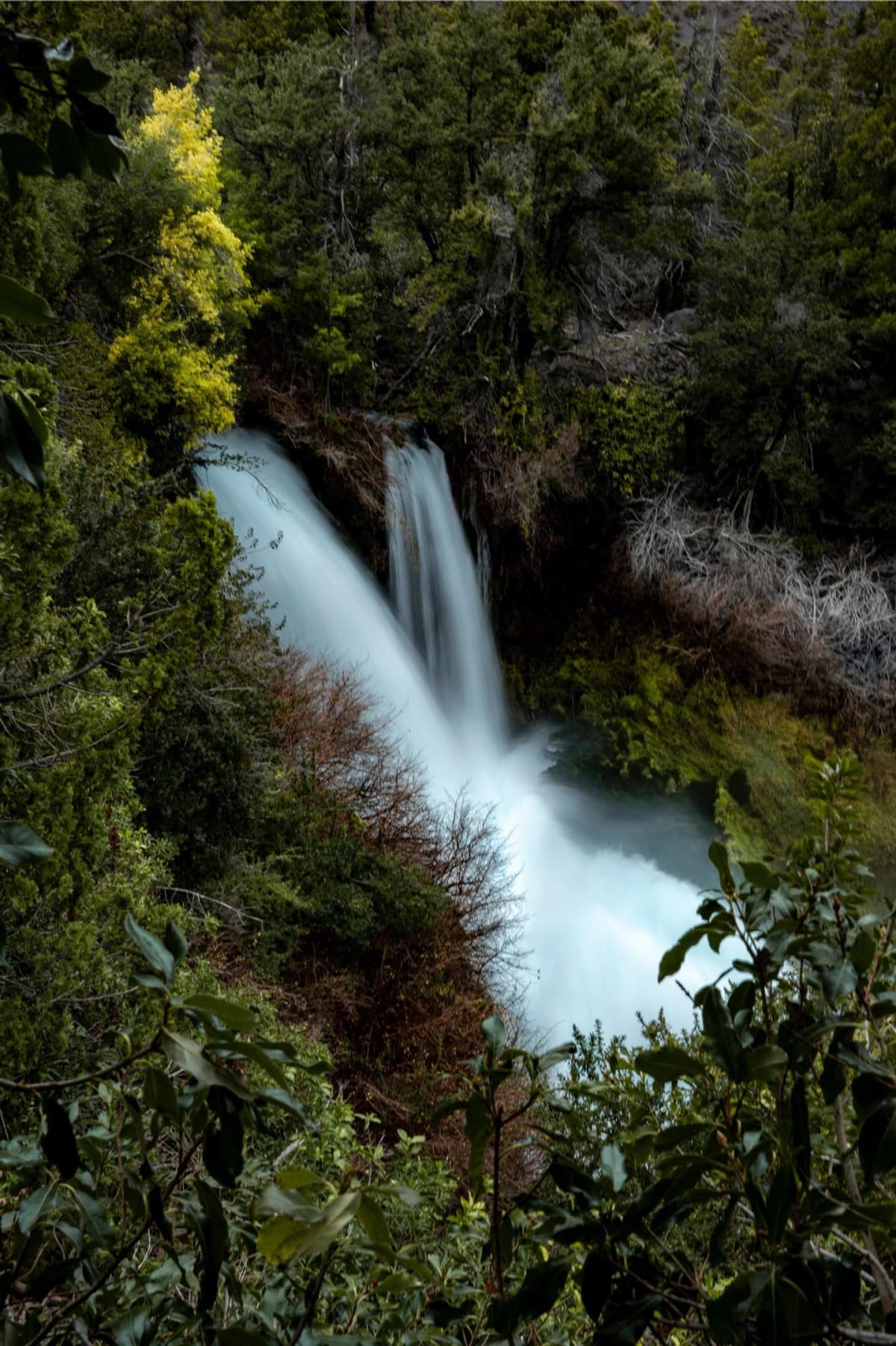 Entrada Parque Nacional Laguna Del Laja