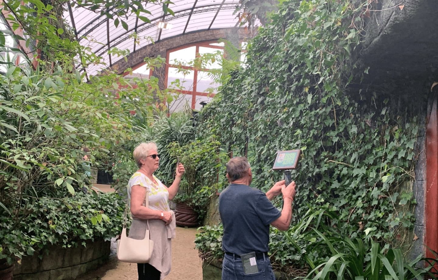 Tour a La Paz Waterfall Gardens y Observatorio de Mariposas