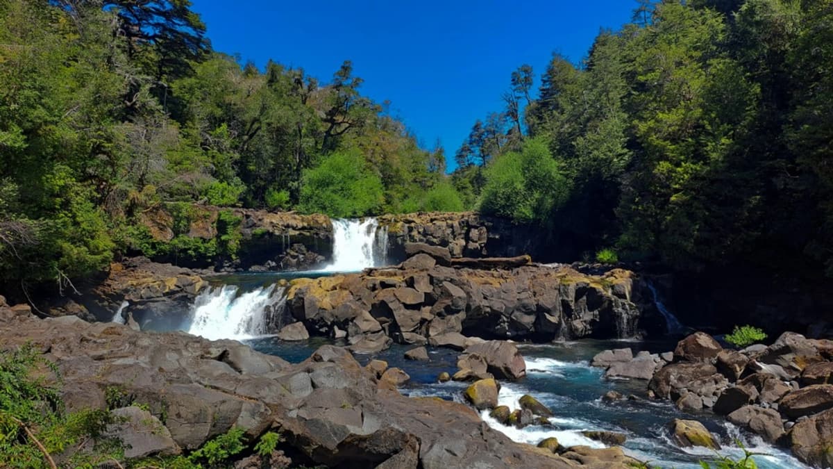 Magical Huilo Huilo Tour: Nature, Adventure, and Charm in a Unique Destination in Chile