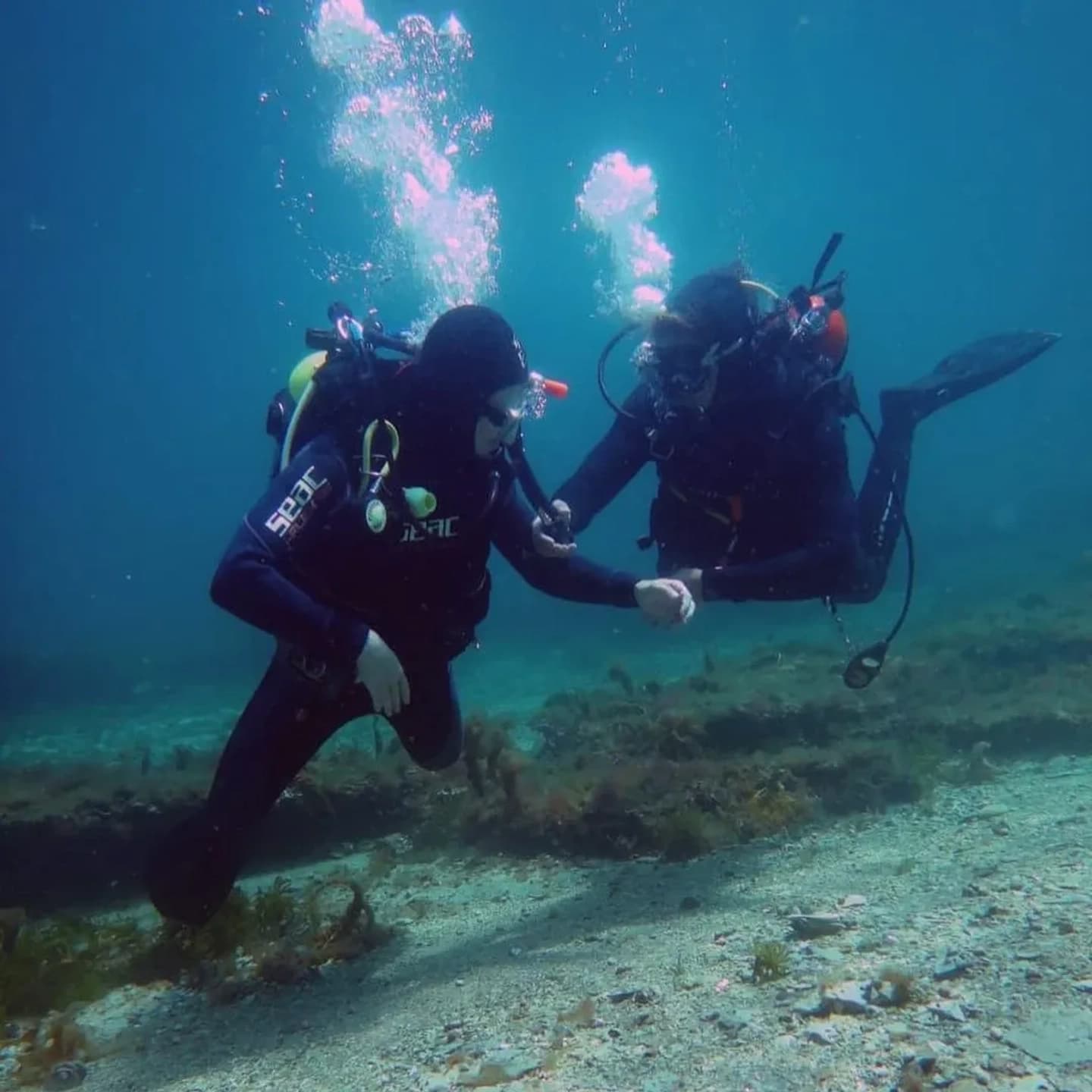 Bautismo de Buceo en Puerto Pirámides