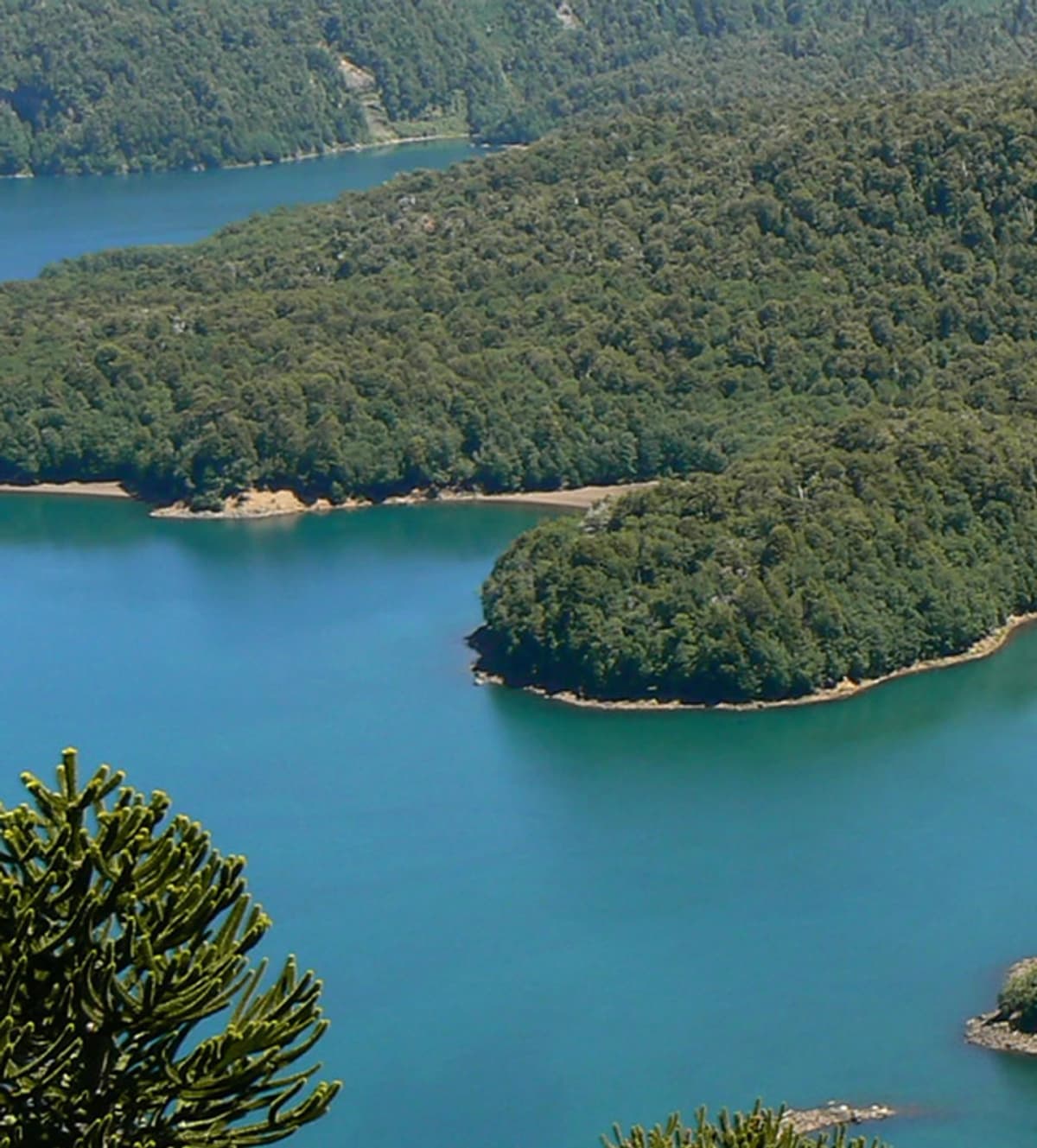 Entrada al Parque Nacional Conguillío