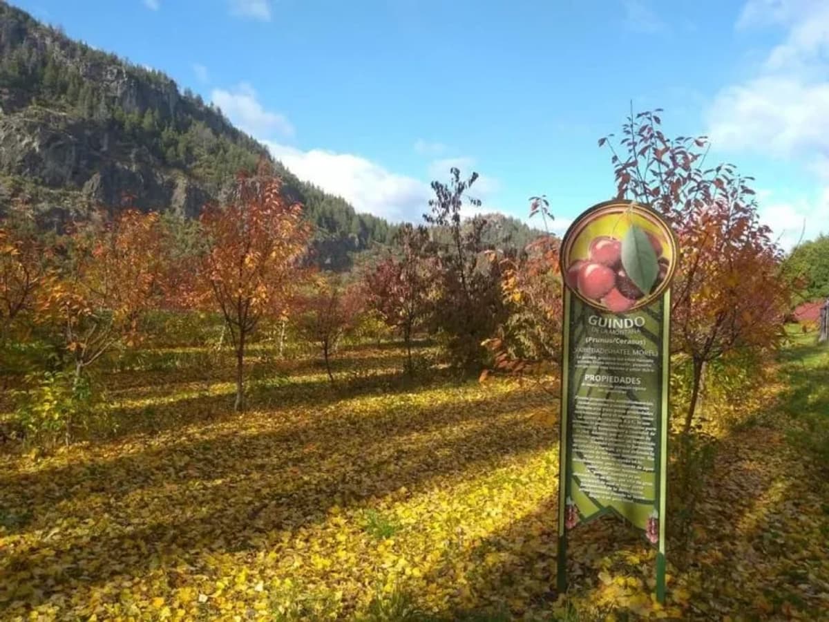 Excursión Cascada Nahuelpan Chacra y Pisicucultura