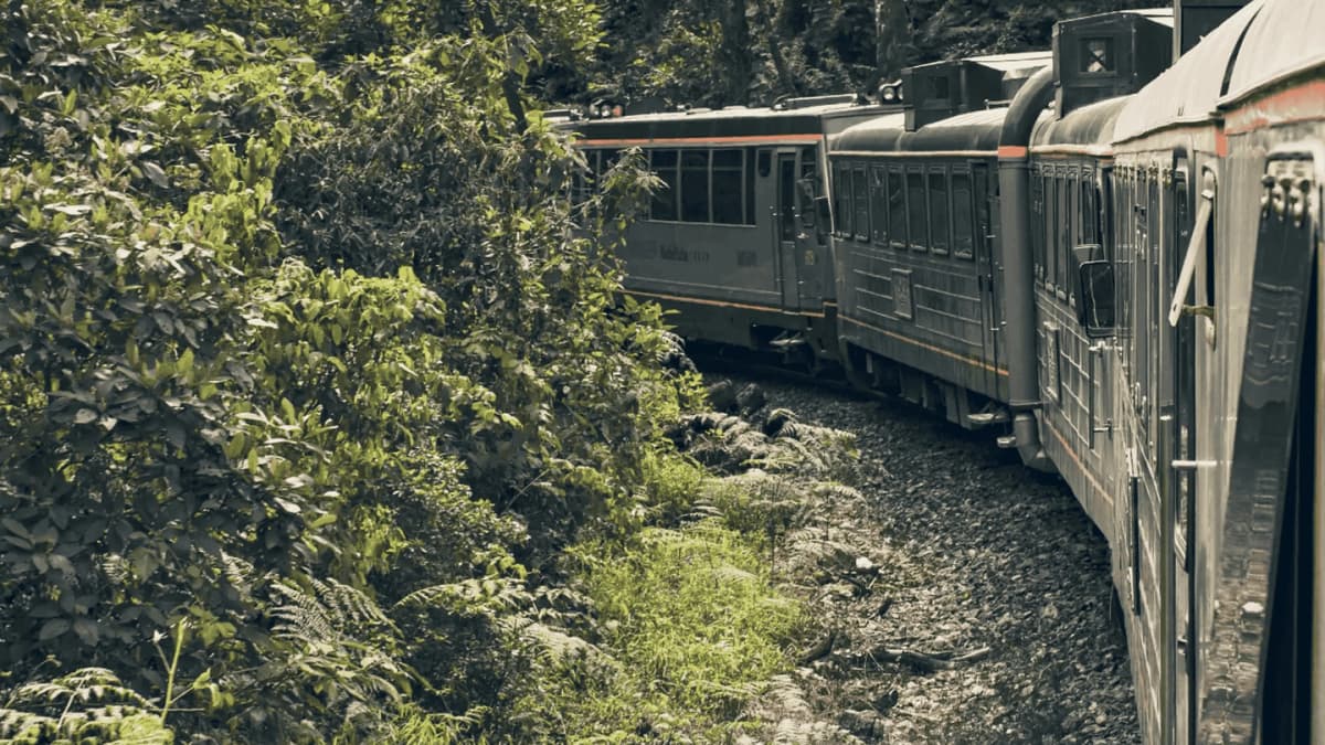 Camino Inca Corto 2 Días a Machu Picchu con Trekking Guiado
