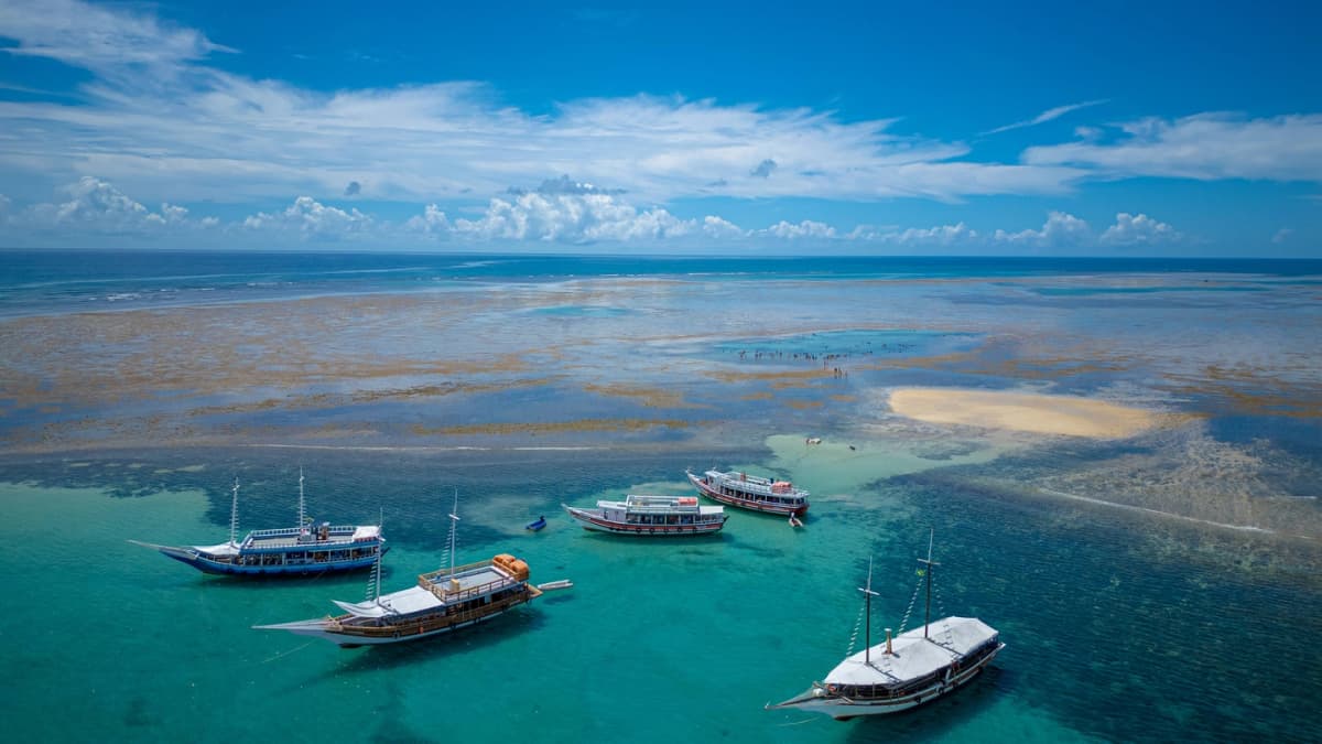 Excursión en escuna al Parque Marino Recife de Fora desde Porto Seguro