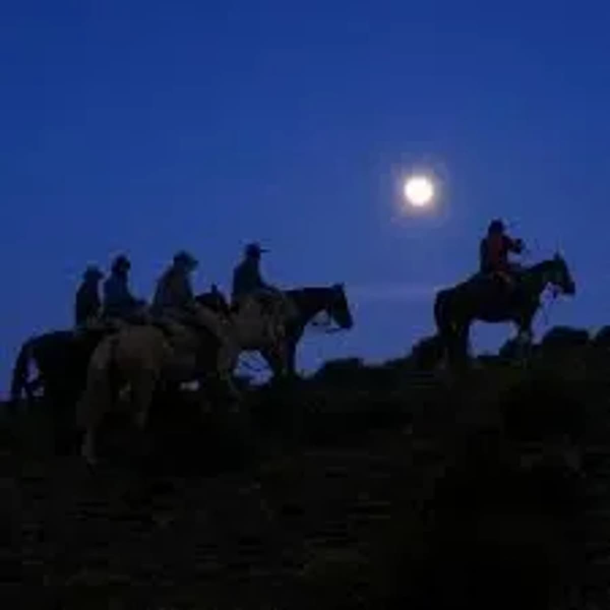 Cabalgata por las Bardas a la Luz de la Luna