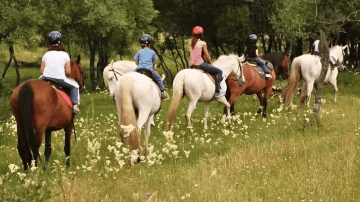 Cabalgata de 1 Hora en Valle de Uco desde Tunuyán