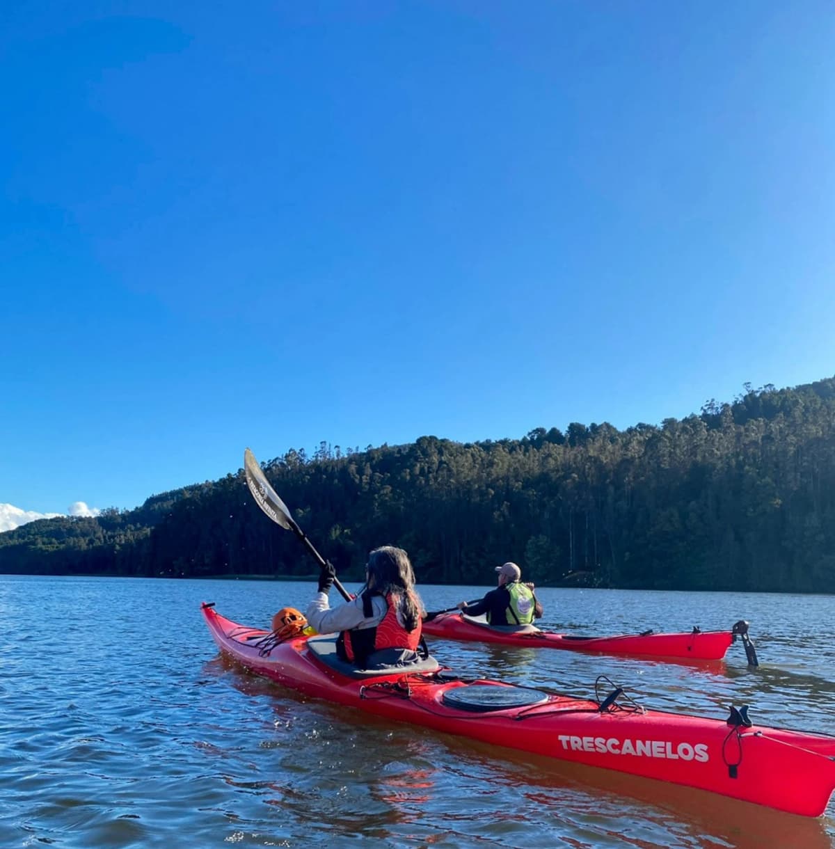 Kayak en Valdivia: Navega el Santuario de la Naturaleza