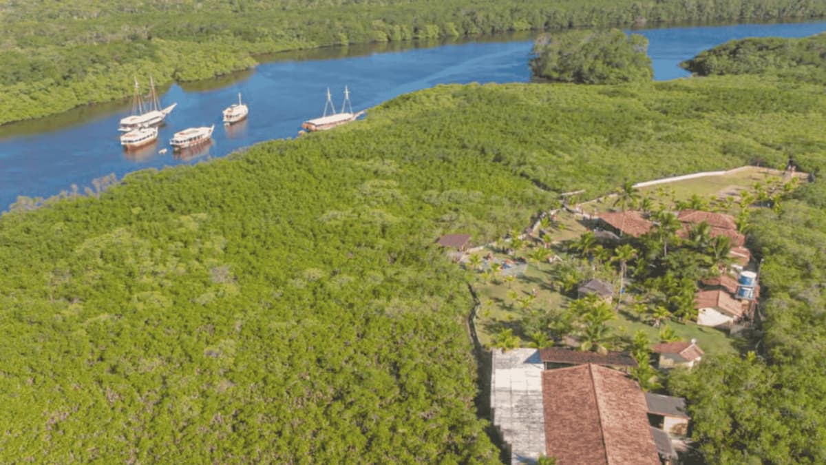 Excursión Parque Marino Coroa Alta desde Porto Seguro en velero