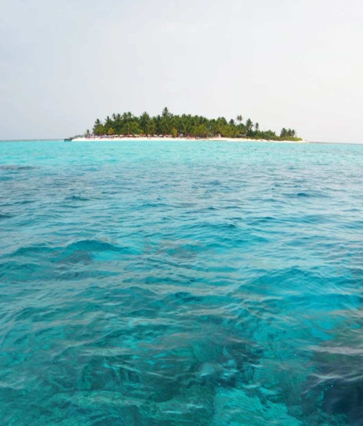 Tour de 2 días en San Andrés con Acuario, chiva y bahía