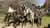 Horseback Riding in Casablanca Valley: Fundo Pitama