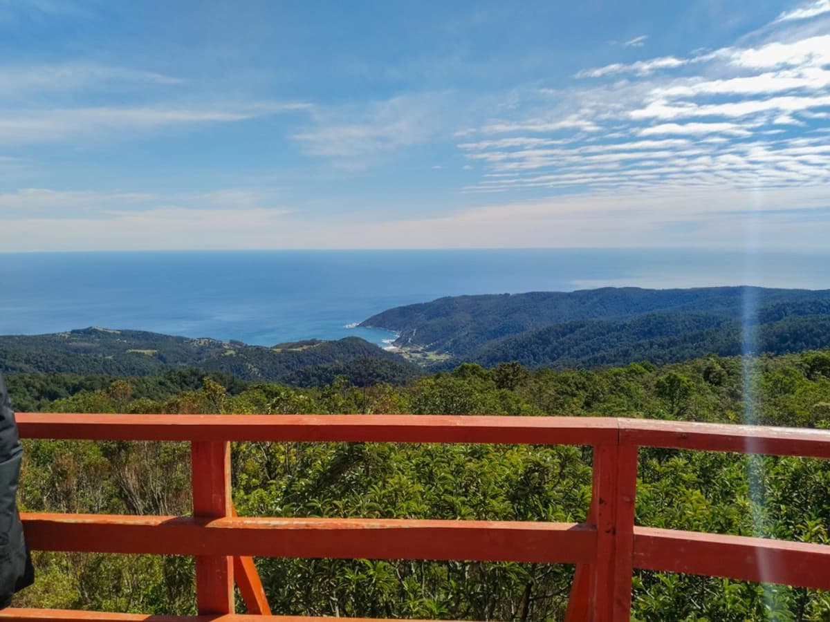Trekking en el Parque Oncol y Playa Pilolcura desde Valdivia