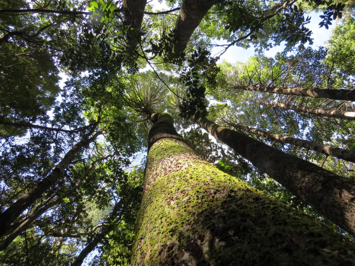 Entrada Reserva Nacional Los Ruiles
