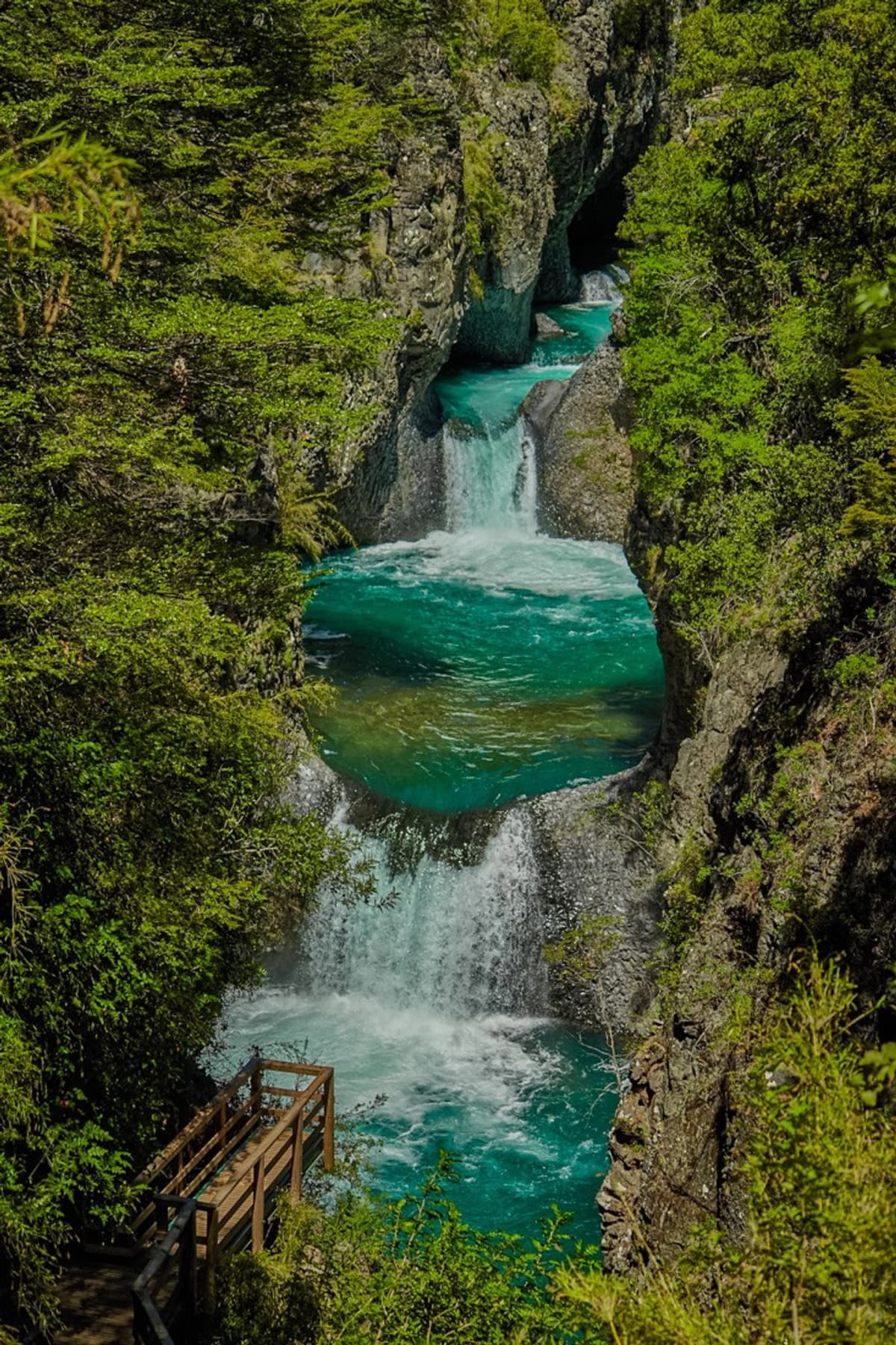 Tour Siete Tazas: Explora cascadas y naturaleza endémica desde Curicó