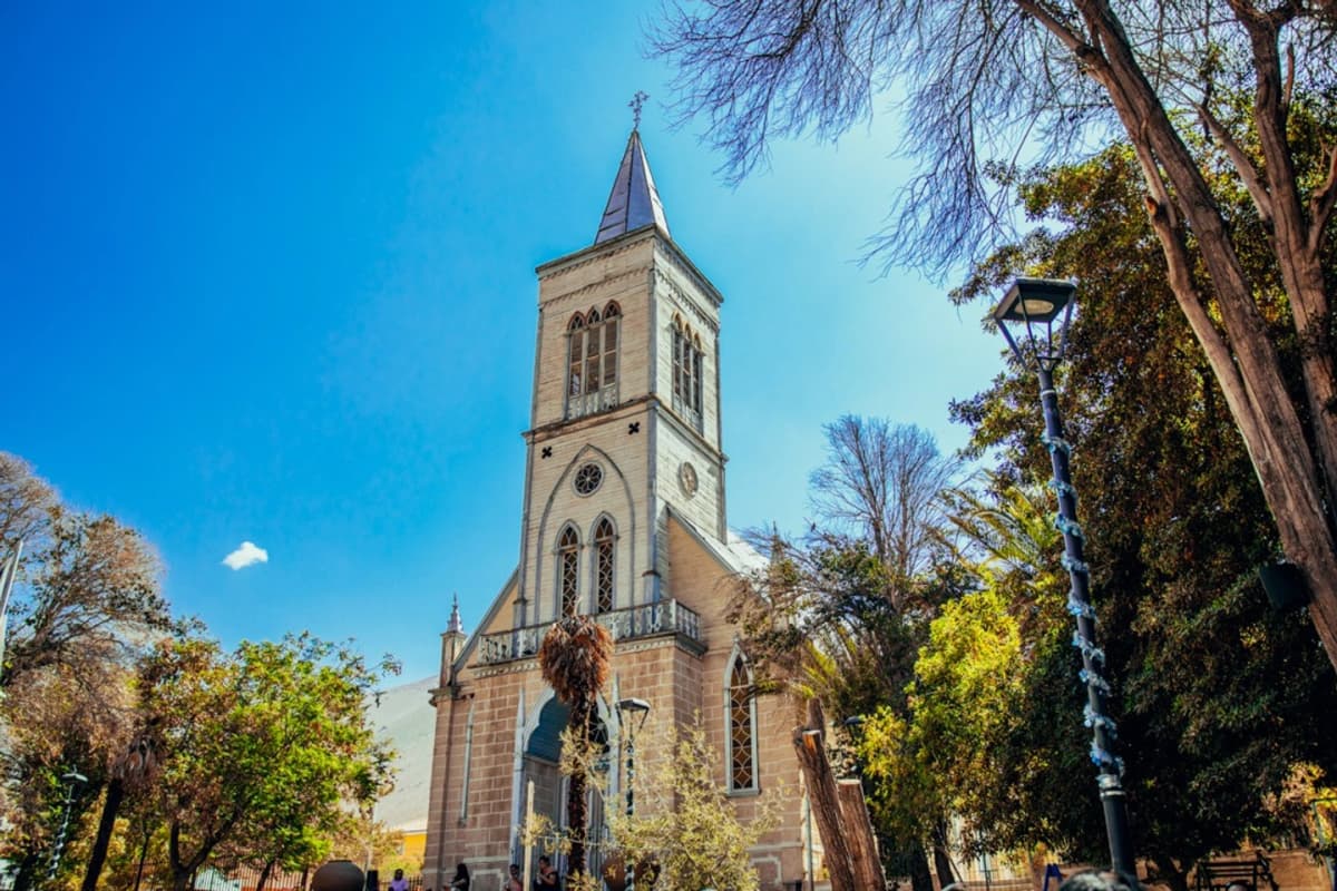 Tour Elqui a tu Medida: Descubre el Valle según tus Intereses