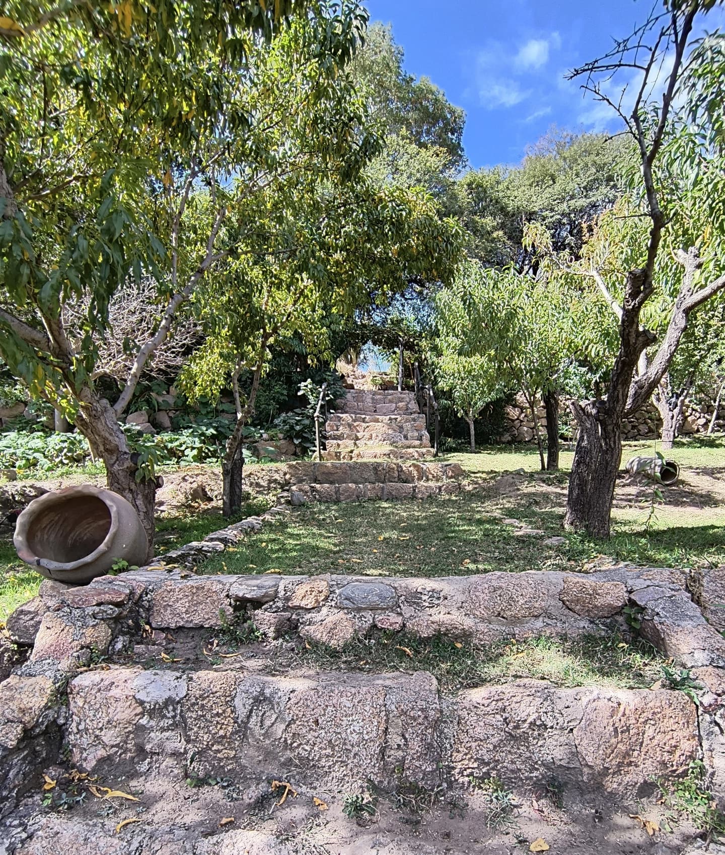 Senderismo Interpretativo Cultura Diaguita-Calchaquí en Cafayate