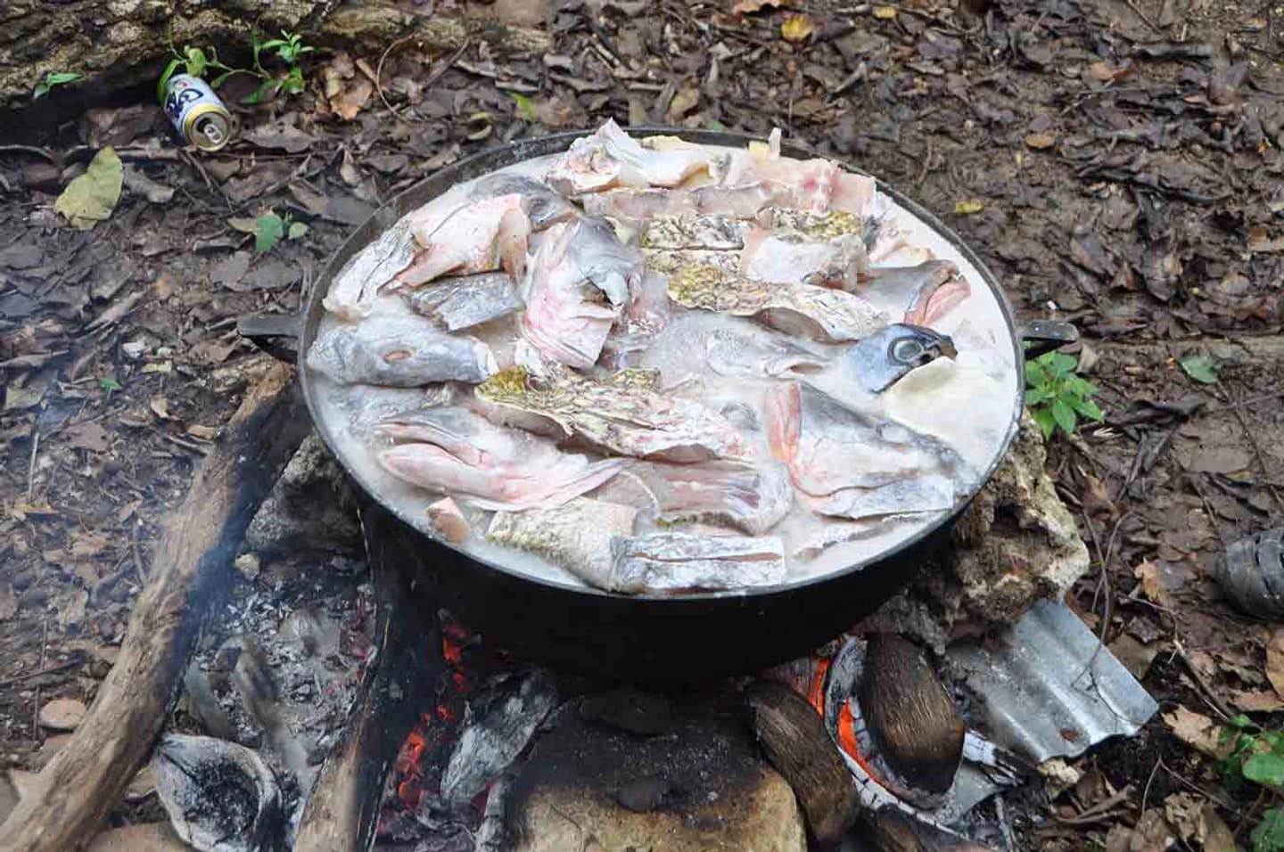 Tour gastronómico de Rondón en San Andrés con cocina en vivo