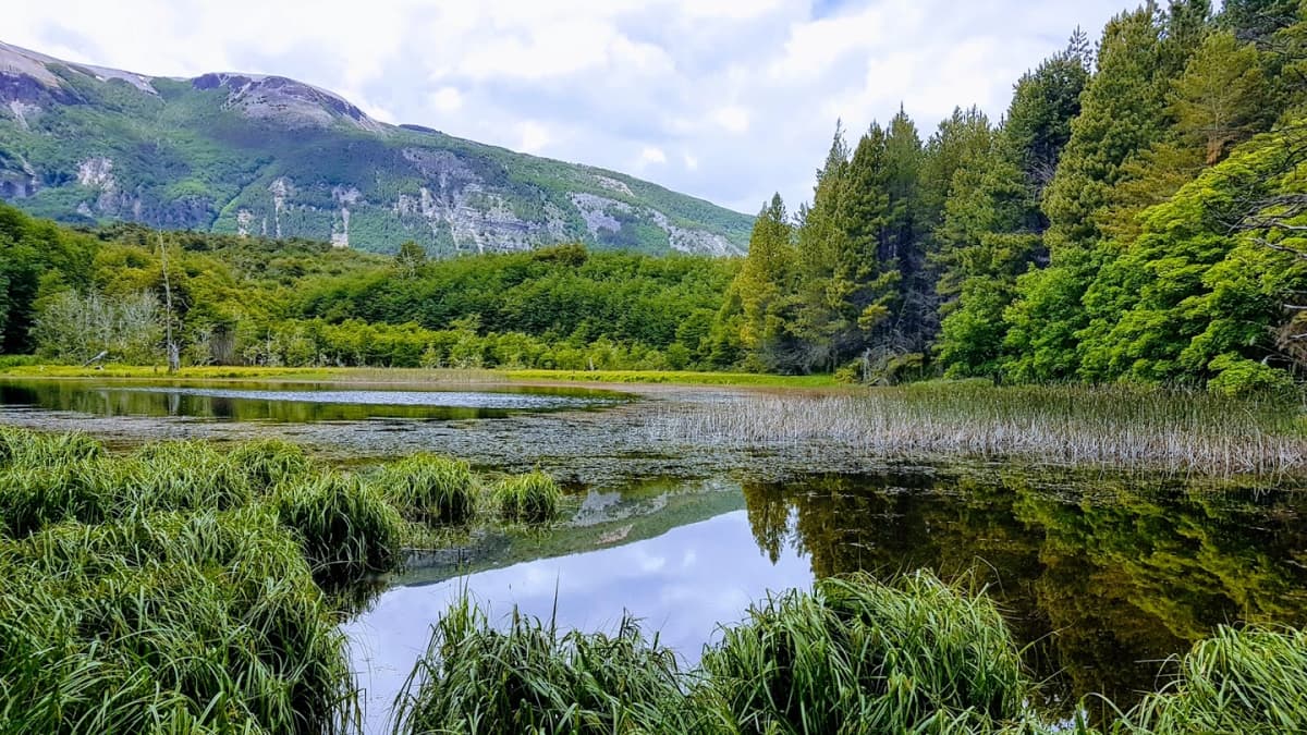 Entrada Reserva Nacional Coyhaique