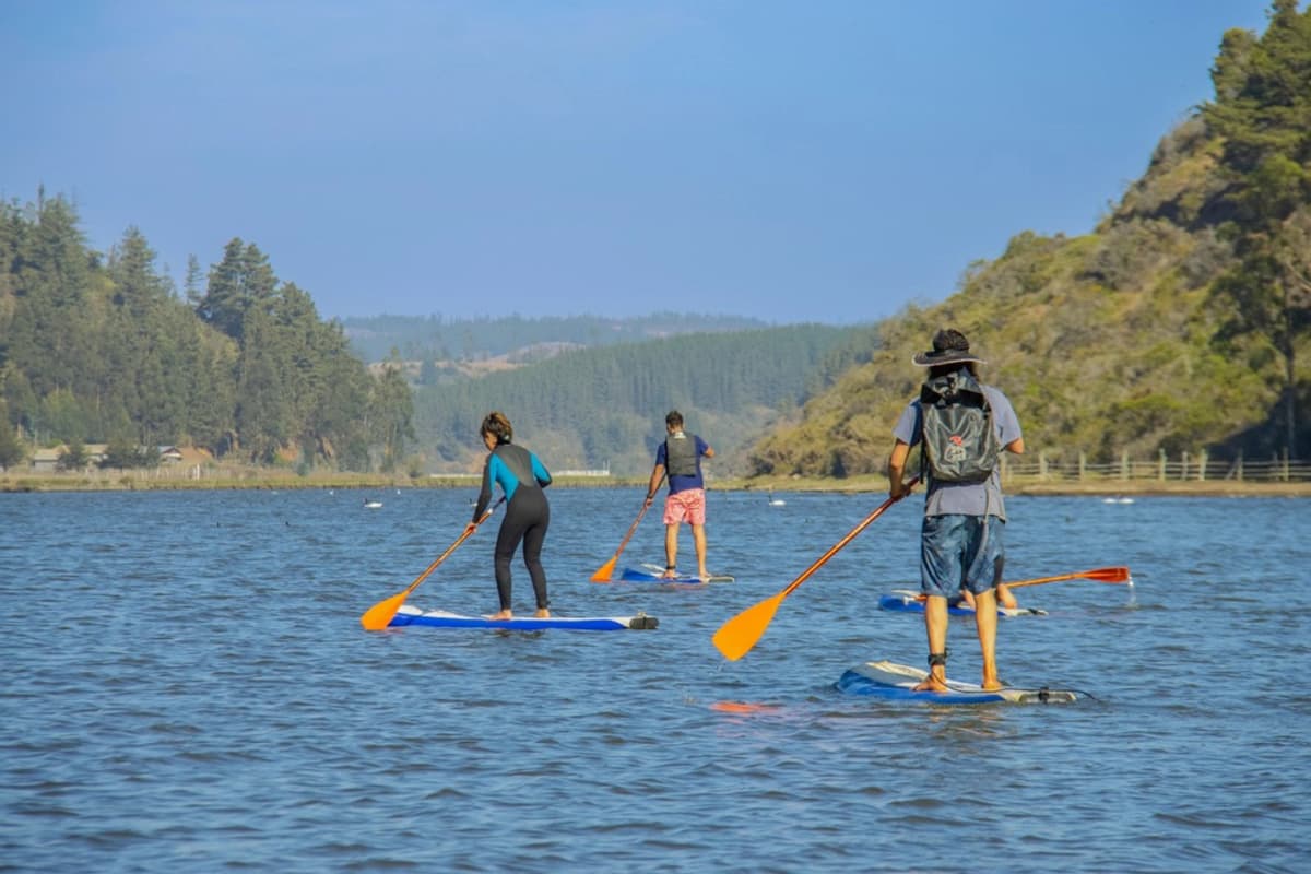 Aventura en SUP en los humedales de Pichilemu y sus alrededores