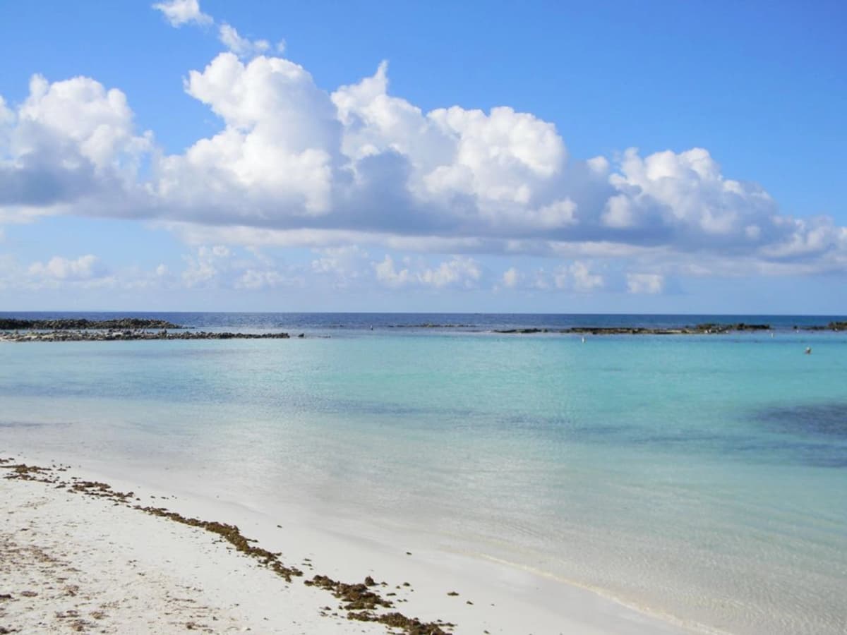 Tour por las mejores playas de Aruba con Snorkeling