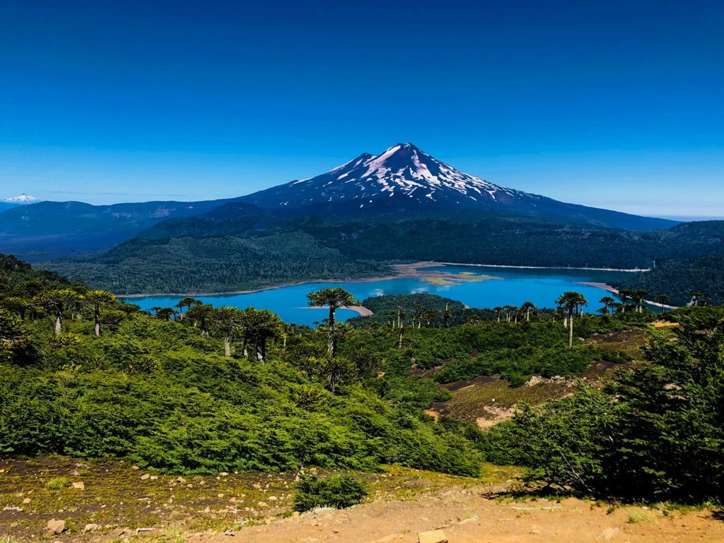 Trekking Sierra Nevada en Conguillío: Naturaleza y Vistas al Volcán