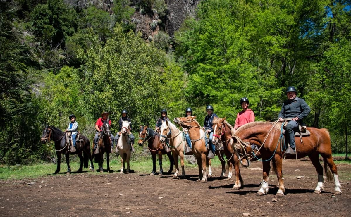 Horseback Riding in Pinto: Unmissable Native Forest