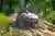 Punta Cana: combo de buggy 4x4 y circuito de 12 tirolesas