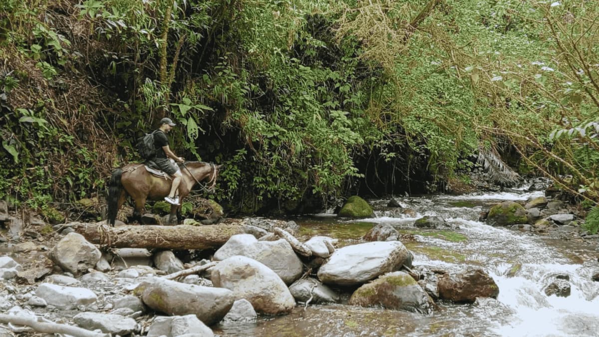 Cabalgata mixta 4 puntos Valle del Cocora