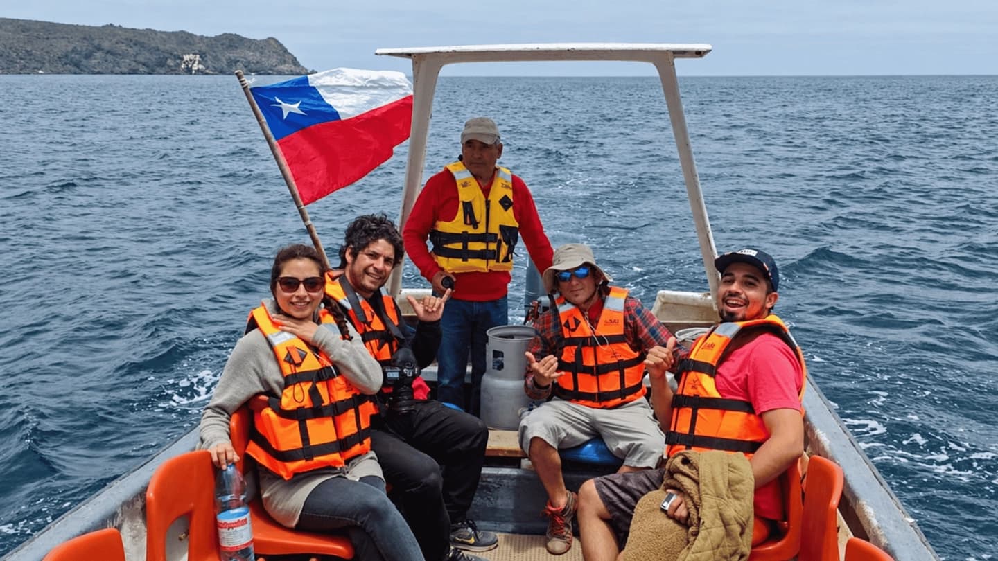 Avistamiento de Ballenas en Chañaral de Aceituno