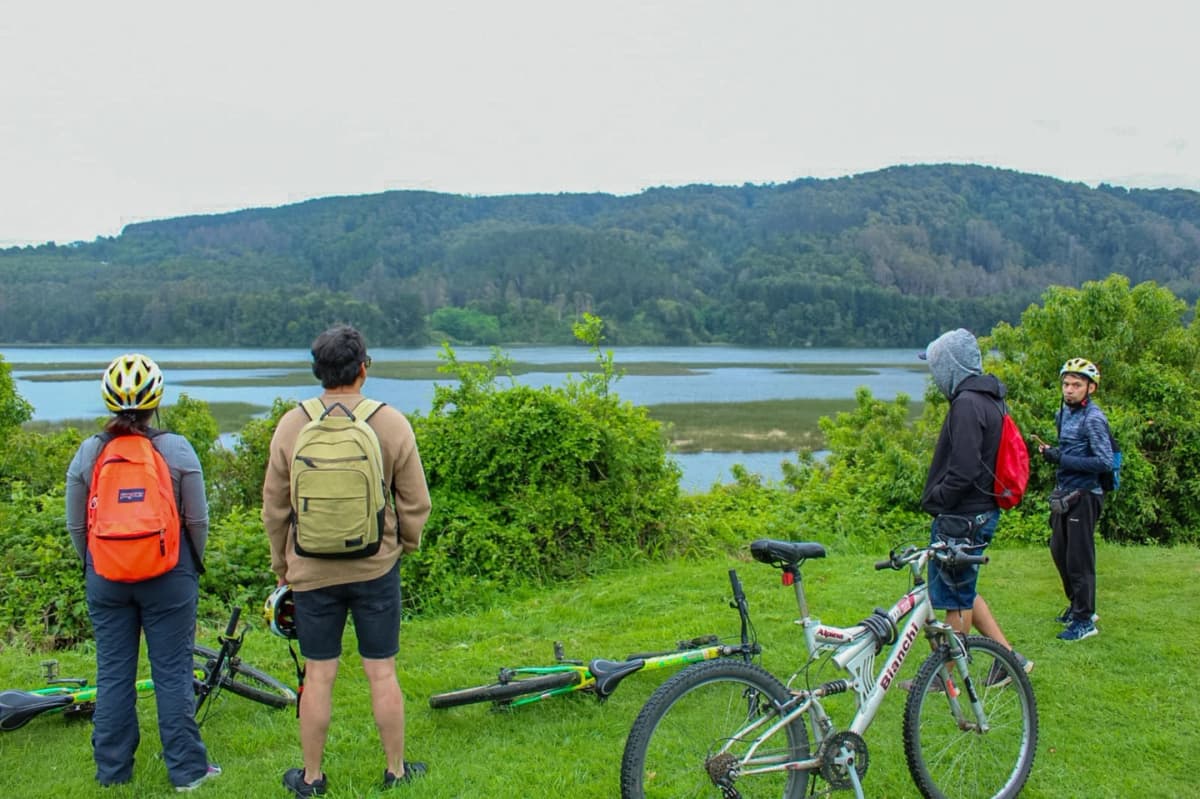 Valdivia: Tour en bicicleta por Bosques y Parques