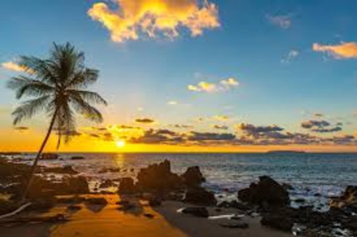 Day Pass at Tamarindo Beach House in Tierra Bomba