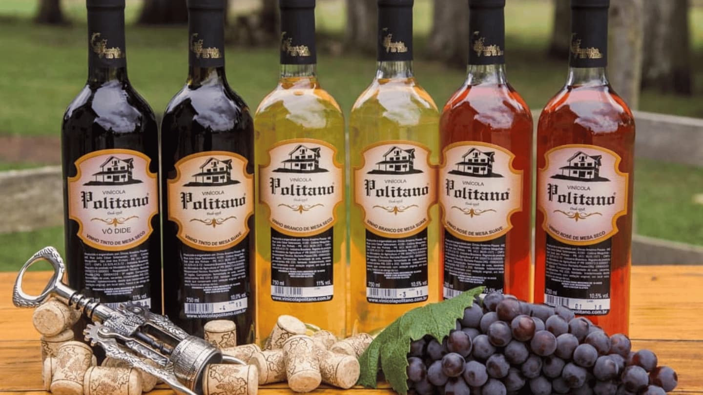 Excursión por la Ruta del Vino de São José dos Pinhais